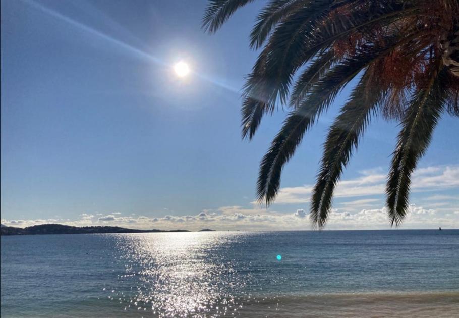 L Annexe 50M De La Plage Bandol Exteriör bild
