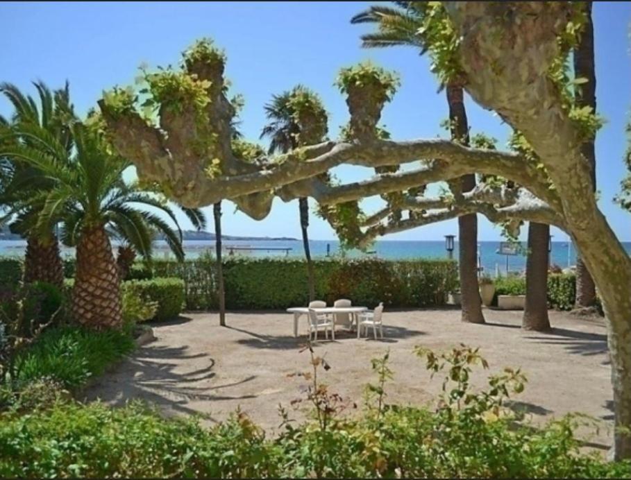 L Annexe 50M De La Plage Bandol Exteriör bild